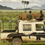 La Inteligencia Artificial en pro de los elefantes del Congo