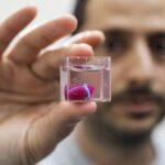 El primer corazón impreso en 3D con tejidos humanos
