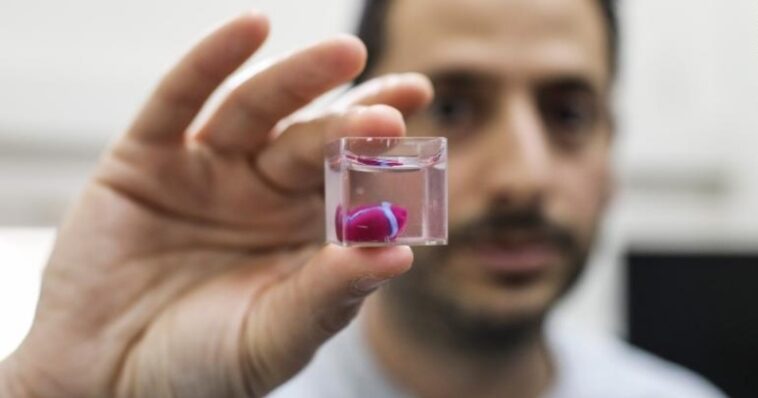 El primer corazón impreso en 3D con tejidos humanos