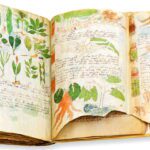 Manuscrito Voynich, el pergamino del siglo XV que aún no podemos comprender