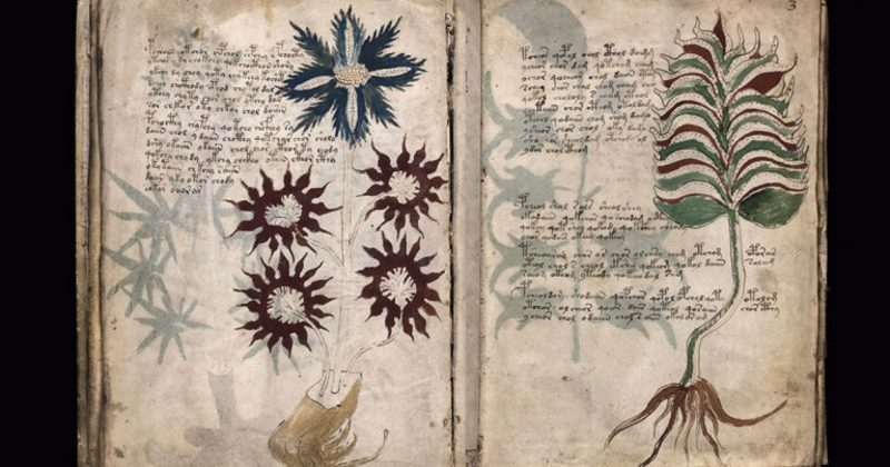 Se busca clasificar las plantas como si fuera un manual