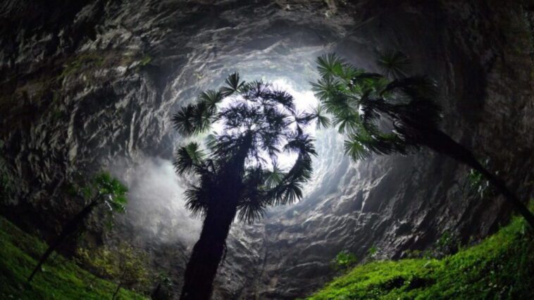 China: científicos descubren una gigantesca cueva con un bosque frondoso