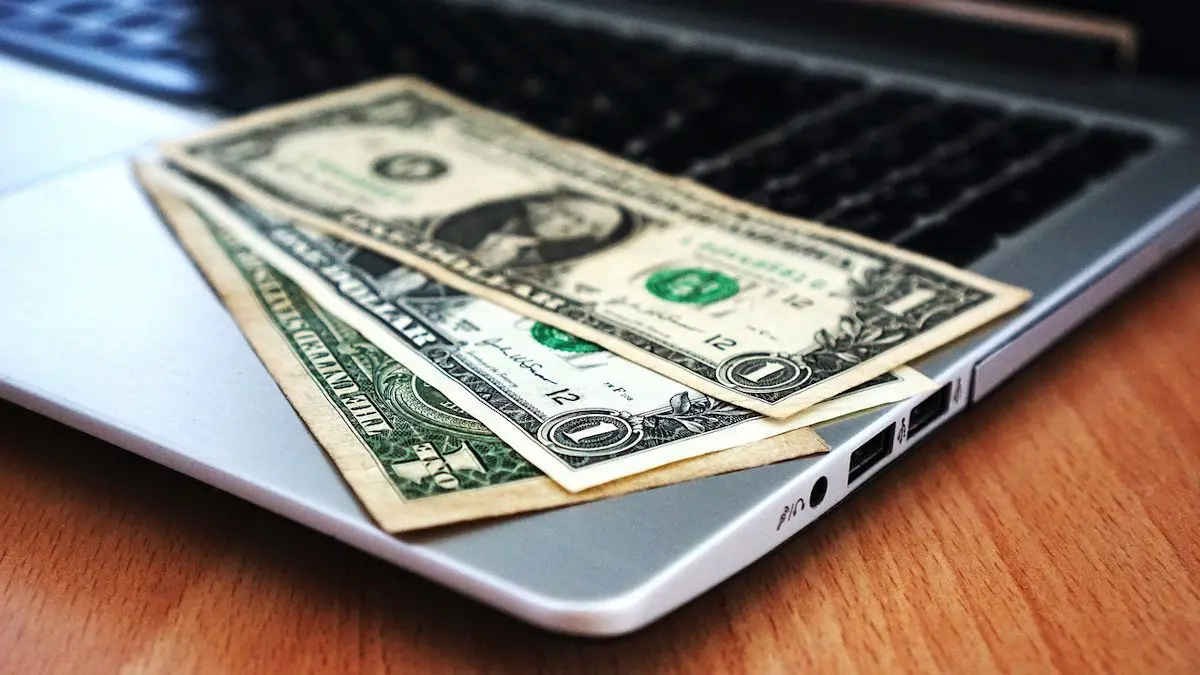 Cómo ganar dinero en internet: 11 formas efectivas y rentables